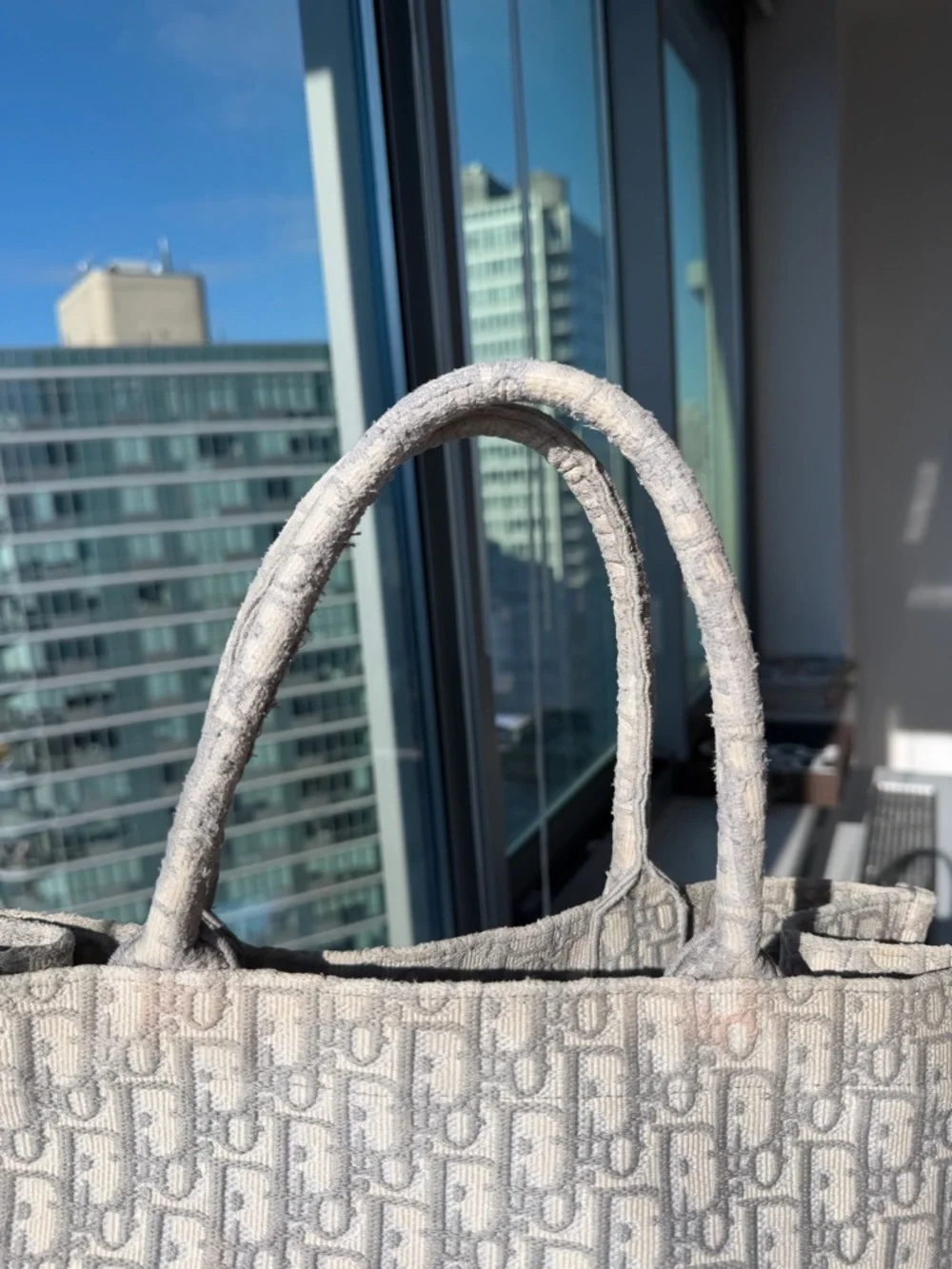 Christian Dior Large Book Tote Gray Oblique Embroidery Authentic Dust Bag - Picture 11 of 12